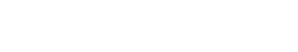 Logo Data General color blanco